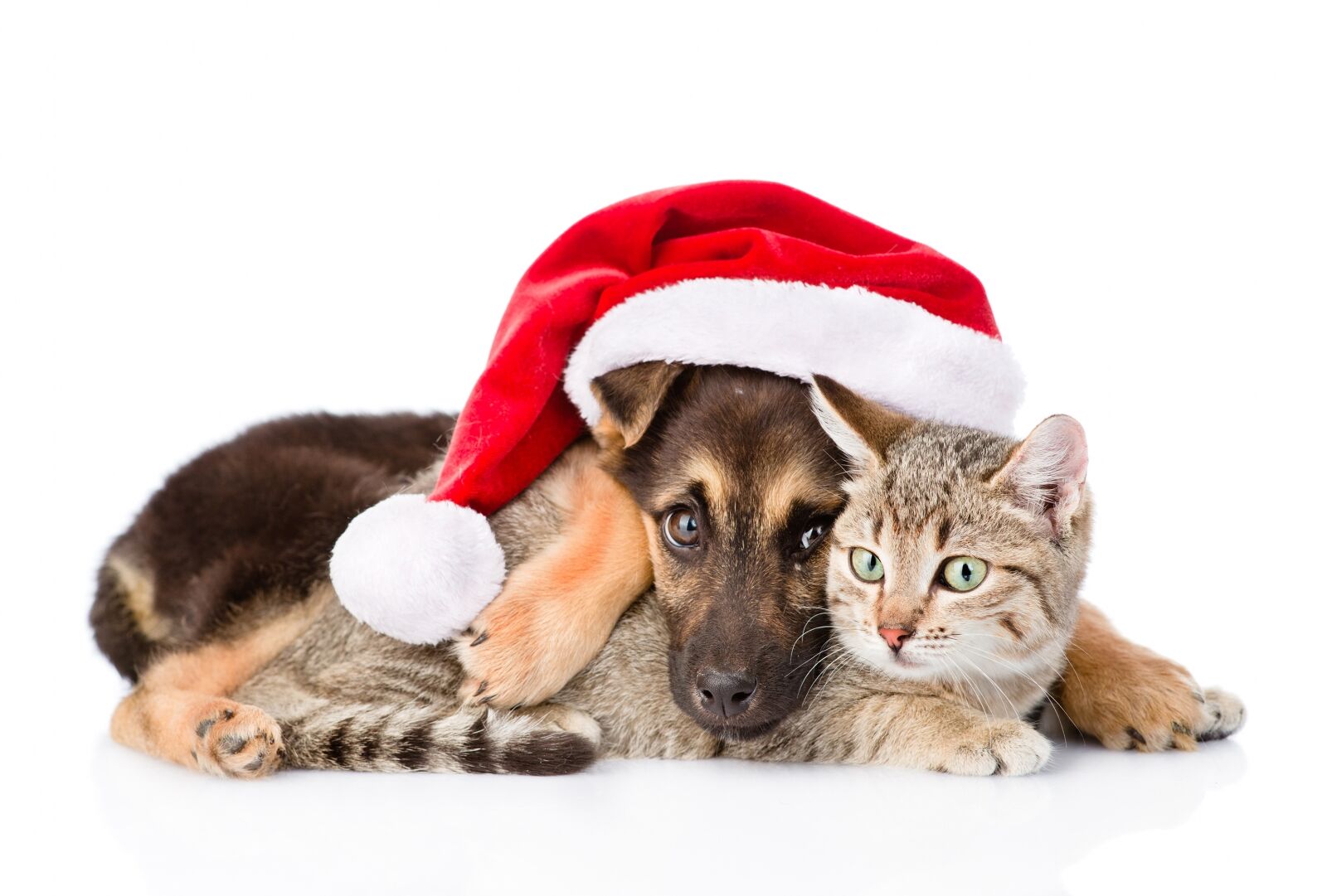 Holiday Sales Strategy